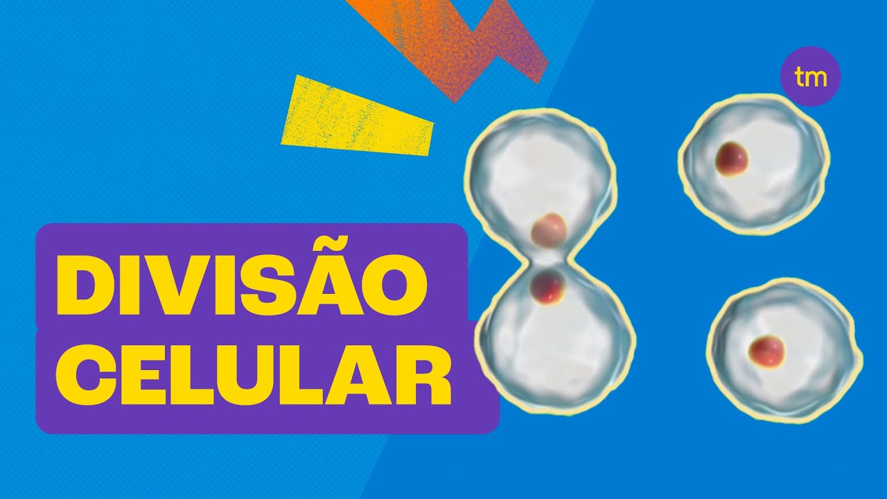 Entenda a DIVISÃO CELULAR | Mitose e Meiose