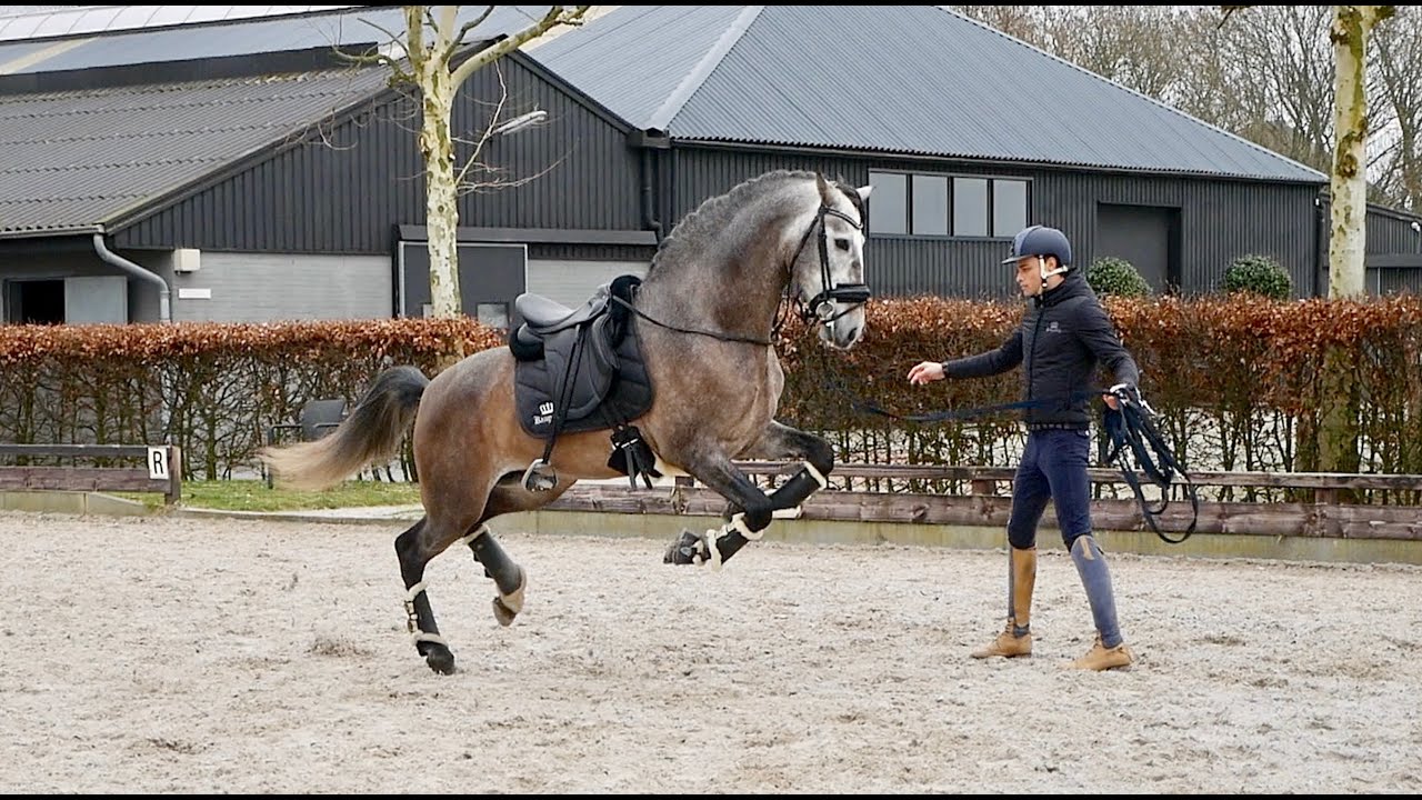 FIRST MONTH WITH MY NEW STALLION... not what i expected*