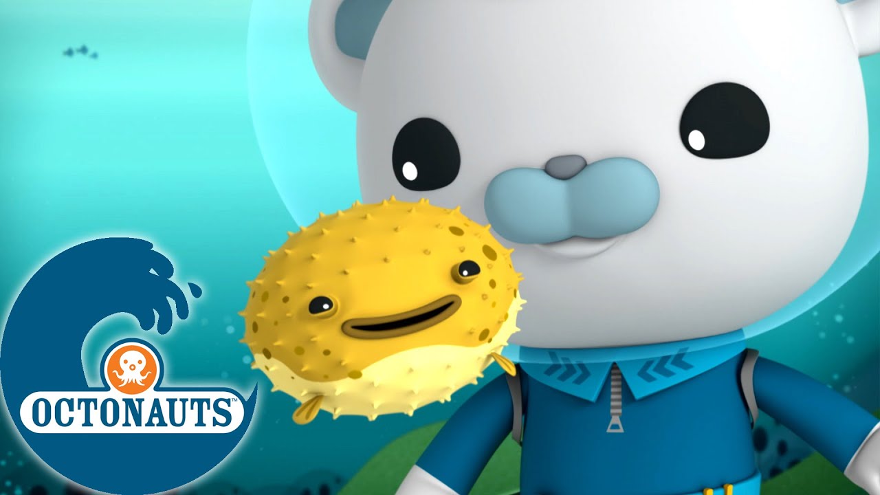 Octonauts - Le poisson-globe porc-épic | Dessins animés pour enfants