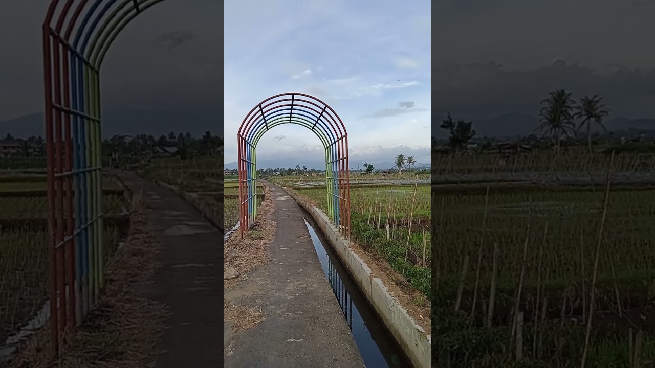 Desa Rimborecap, Curup Selatan, Rejang Lebong, Bengkulu.