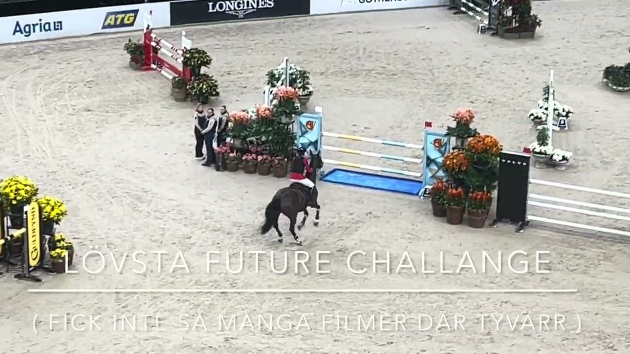 GÖTEBORG HORSE SHOW 2026 | Träningsvlogg