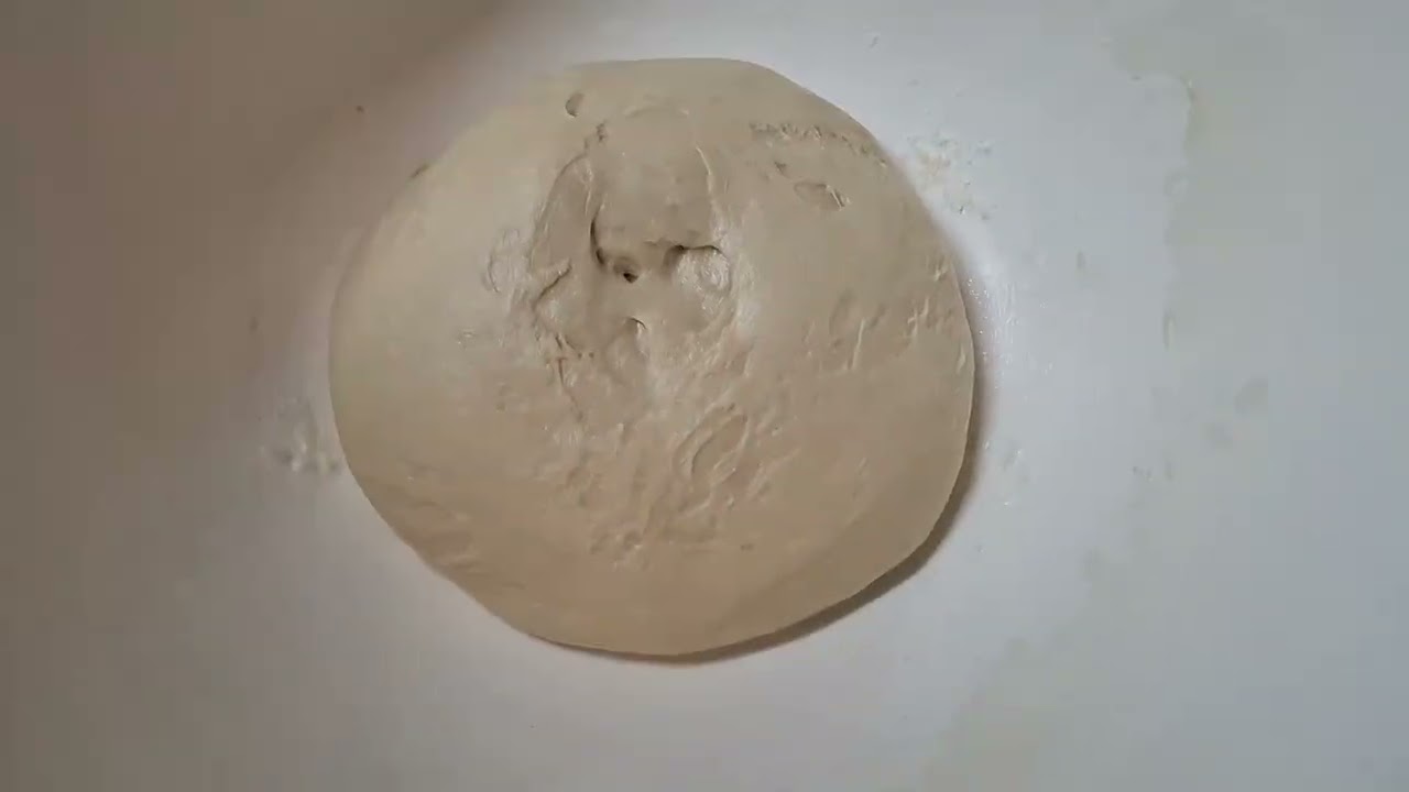 Reviving my 5 month old sourdough starter