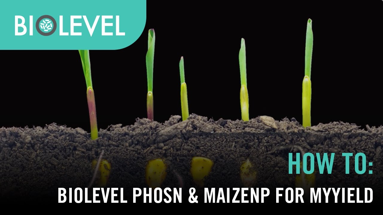 Biolevel PhosN and MaizeNP For MyYield