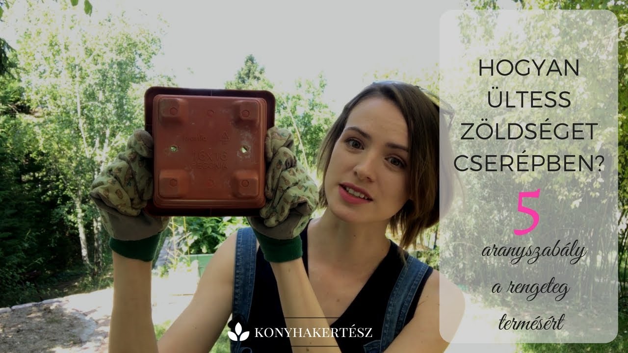 Hogyan ültess zöldséget cserépben?