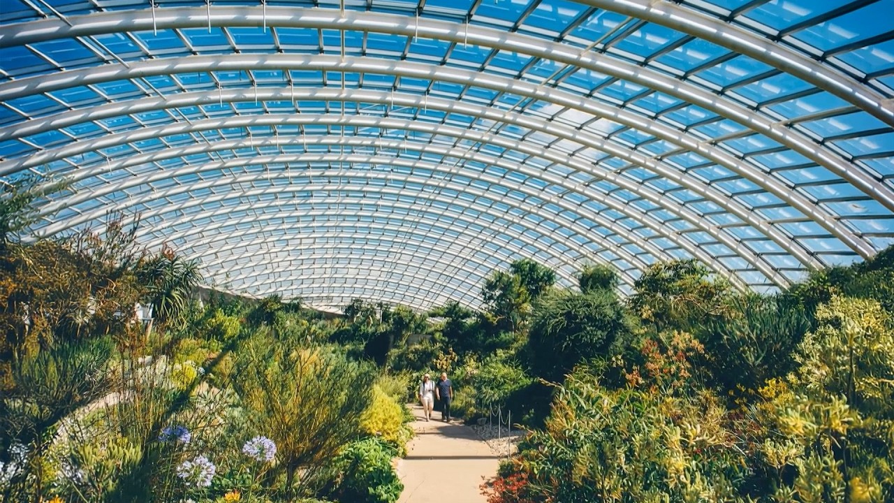 MOST Massive Greenhouses on earth