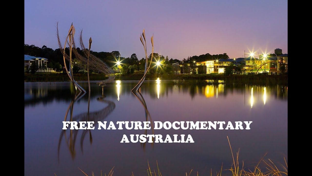 |FREE NATURE DOCUMENTARY|NICE BALANCE|HUMANS & NATURE|वृत्तचित्र |प्रकृति के बीच अच्छा संतुलन