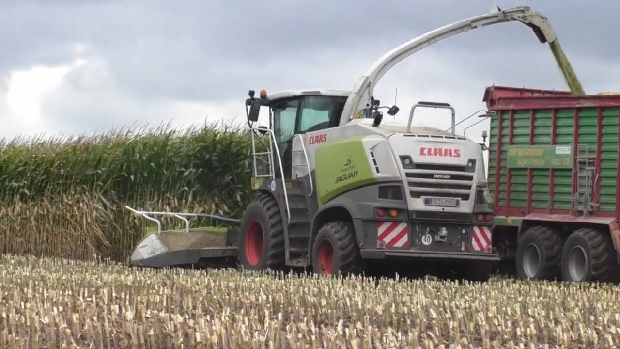 Maishäckseln/ Claas Jaguar 860, Fendt 614 LSA, Fendt Favorit 822, 818, 515, Fendt Vario 930 TMS