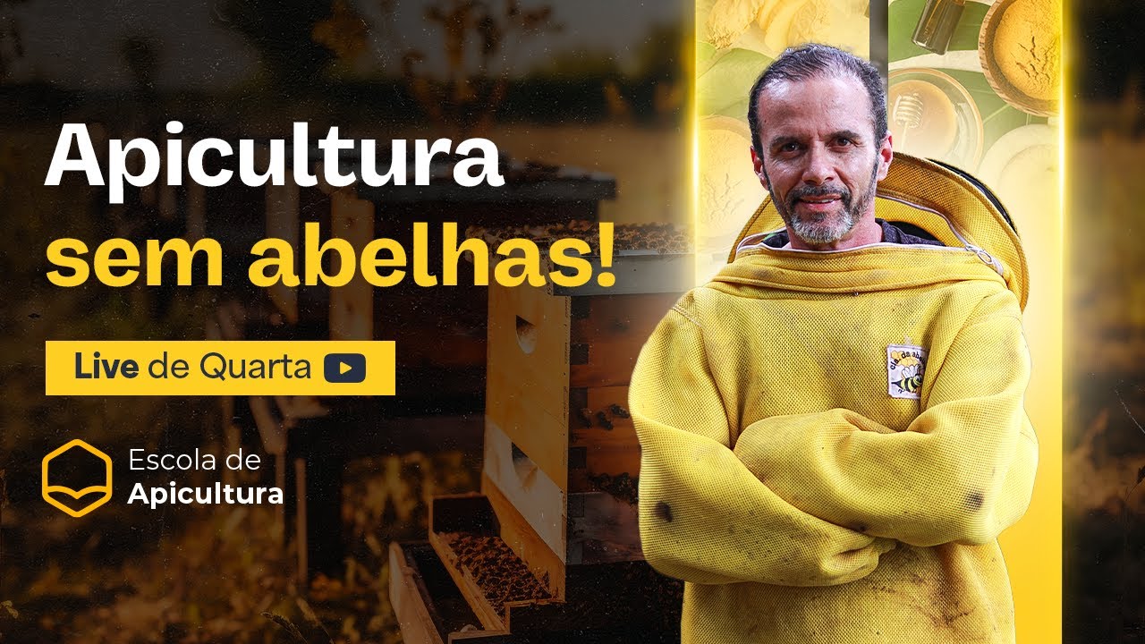 O caminho mais rápido para faturar na apicultura (mesmo não tendo apiário) | LIVE DE QUARTA