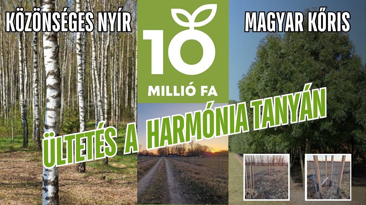 10millió fa - ültetés a Harmónia Tanyán
