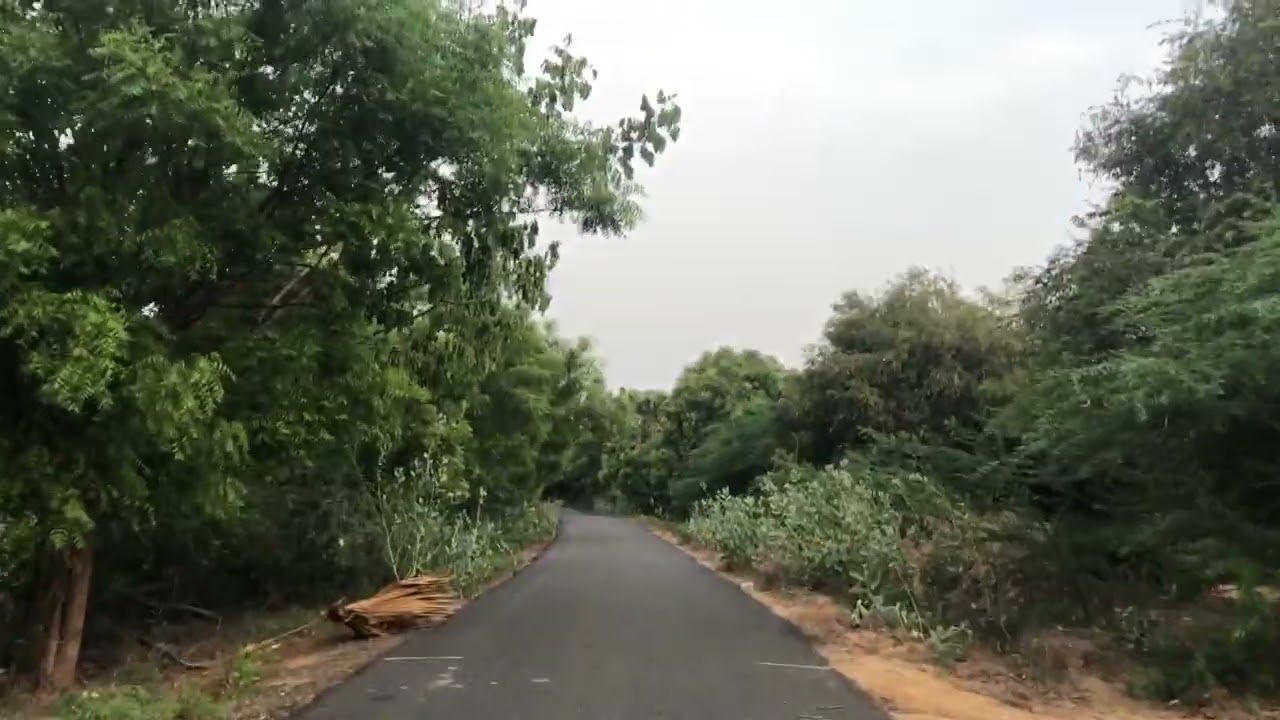 Walking INTO A FOREST | Ayden Jebakumar