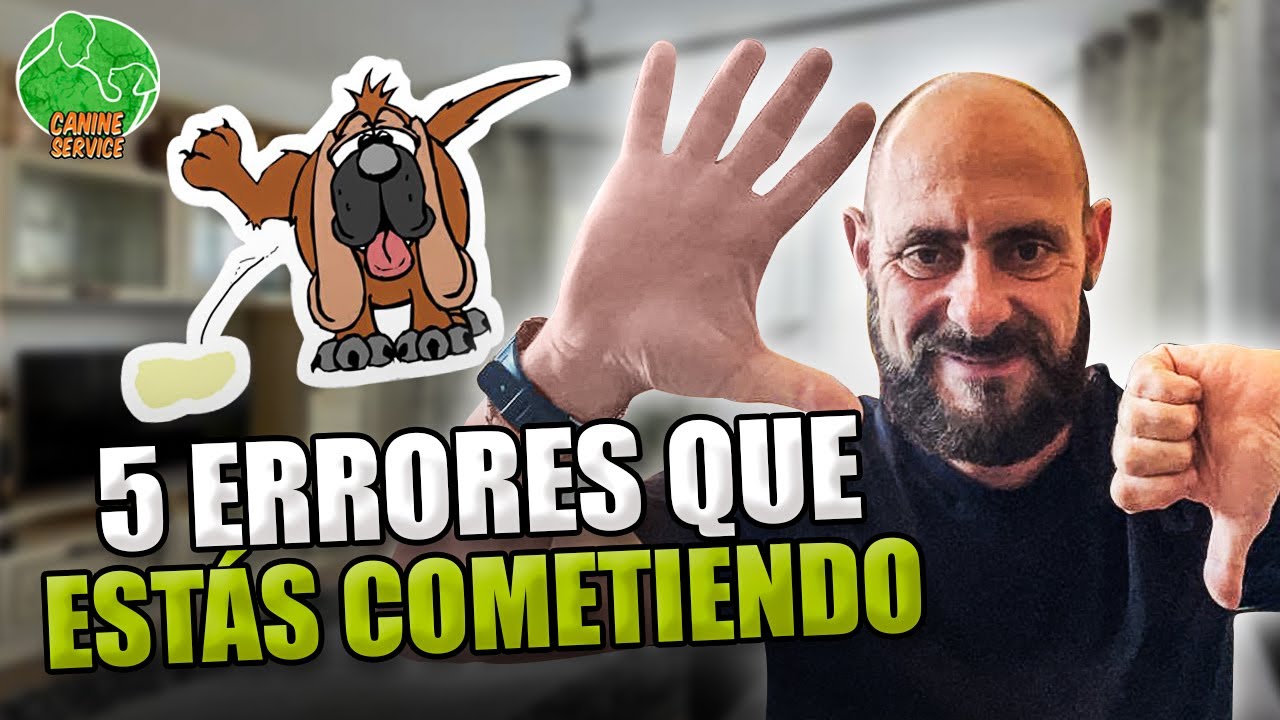 5 Tips para ENTRENAR a tu PERRO CACHORRO que  Necesitas Saber
