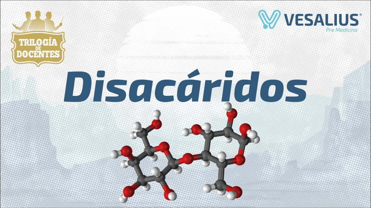 DISACÁRIDOS