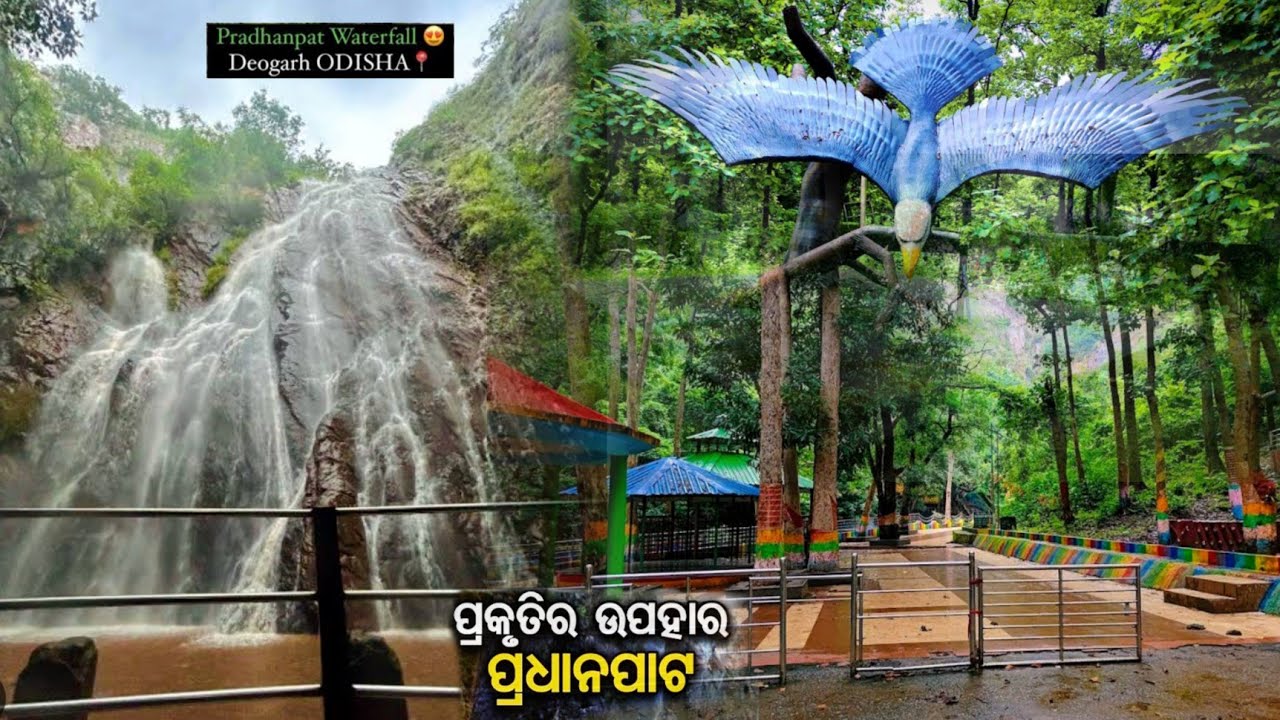 Pradhan pat Waterfall ! pradhanpat waterfall deogarh odisha 2025#waterfall#video#youtube #deoghar 4K
