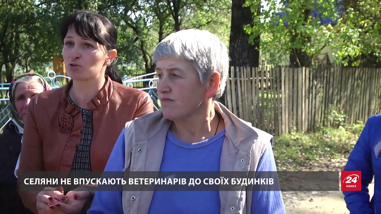 На Львівщині ввели карантин через спалах небезпечної африканської чуми