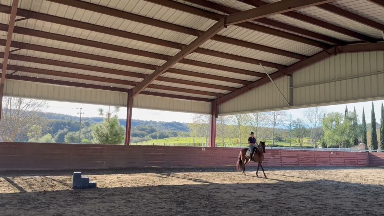 Fizzy day 1 ride 2 Pippa Callahan clinic