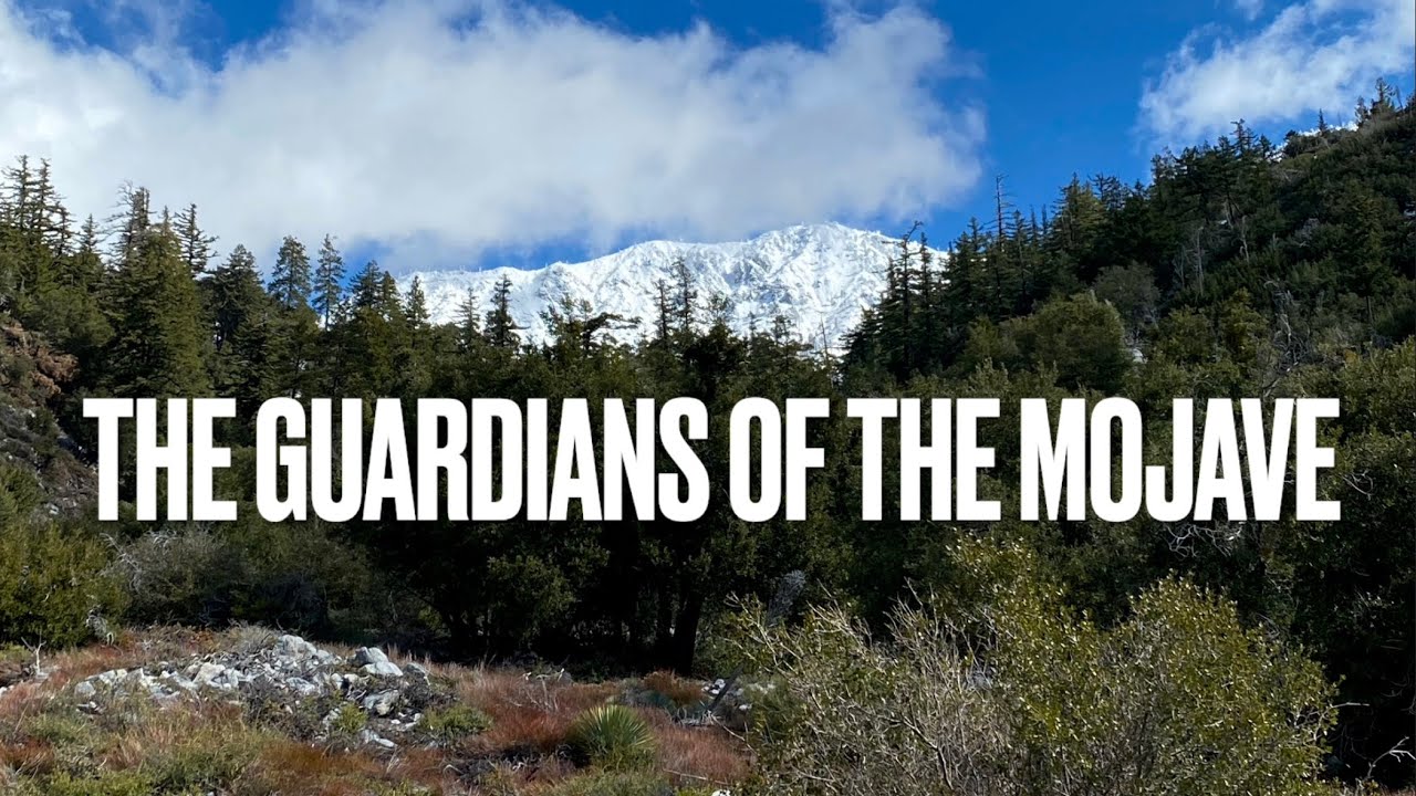 Southern California's GIANT Mountains