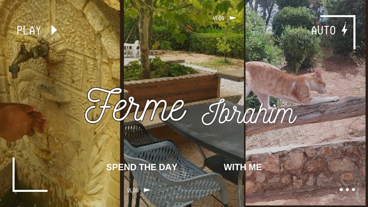 تحويسة في اجمل مزارع الجزائر 🏞️فيها حاجة سبيسيال🤩 #fermeibrahim ارواحو شوفو و مدولي رايكم فيها