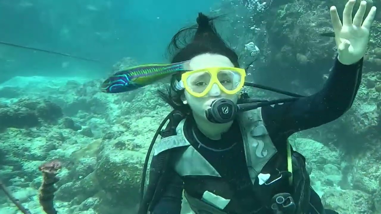 Happy Sea Beauty Underwater 🌊