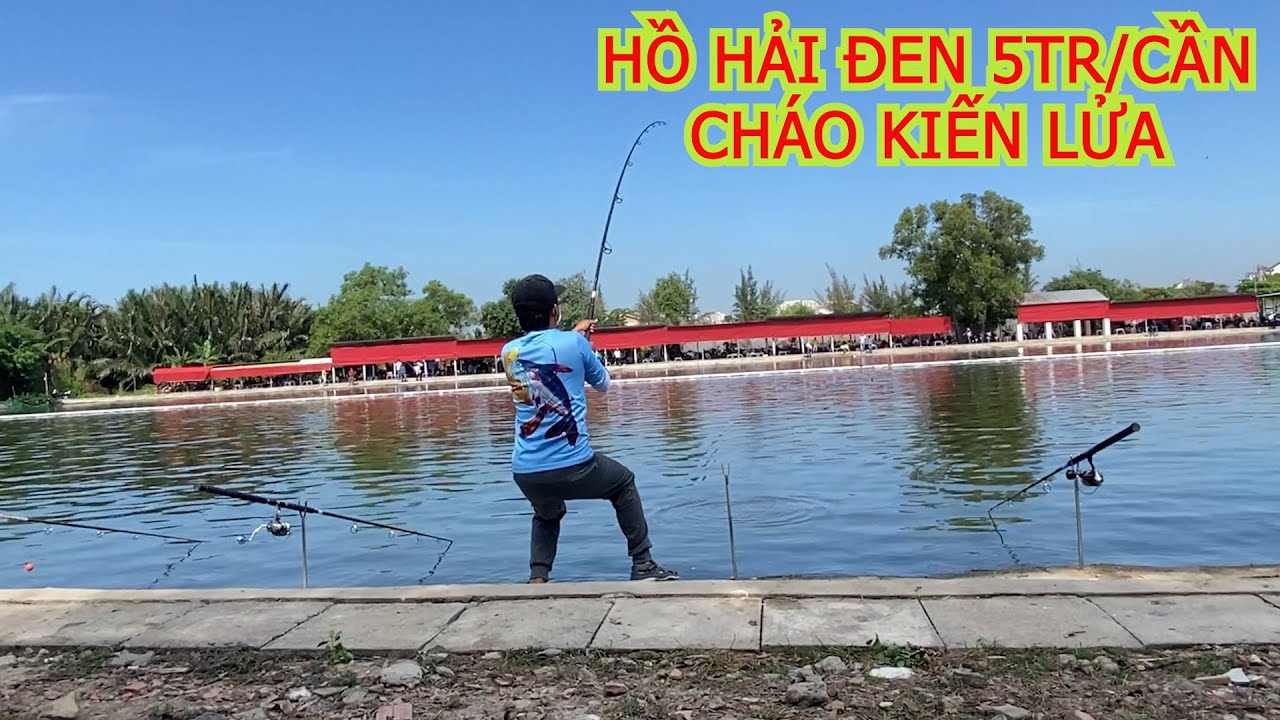 GIẢI CÂU CÁ HỒ HẢI ĐEN SÀI GÒN 5TR 1 CẦN, CHÁO KIẾN LỬA BẮT CÁ XỆ NÁCH