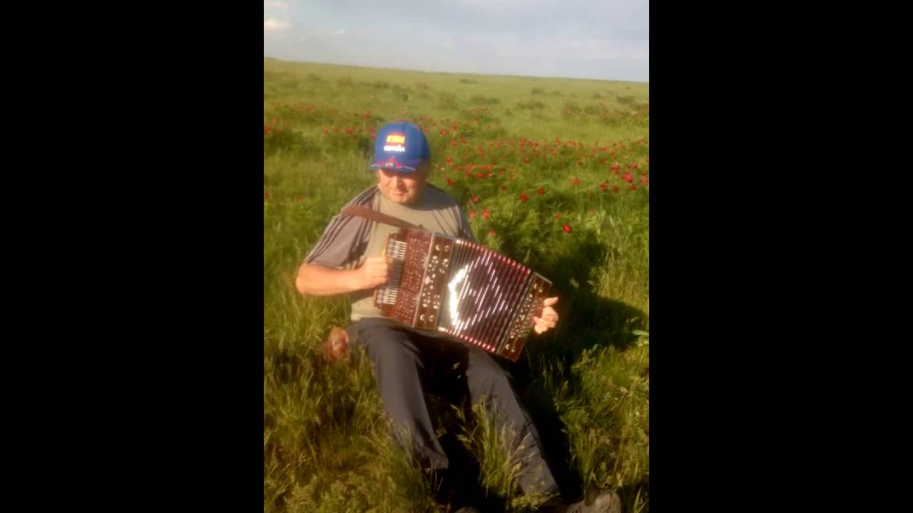 Сторожев Н.Н. - "Матаня" на Нижегородской гармони