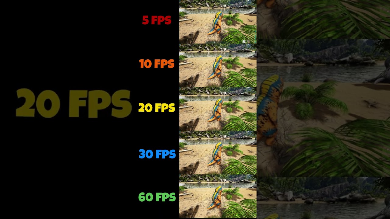 ARK SURVIVAL EVOLVED 5FPS VS 10FPS VS 20 FPS VS 30FPS VS 60FPS #ark #arksurvivalevolved #gaming #fps