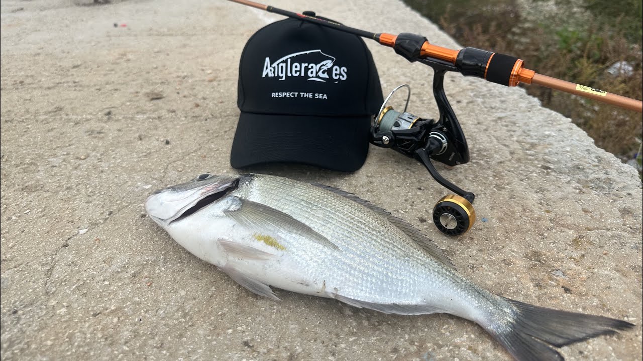 Ο Κινέζος Καθάρισε Την Μπουγάδα..LRF Wading FT Tolisfishing #anglerades #lrf