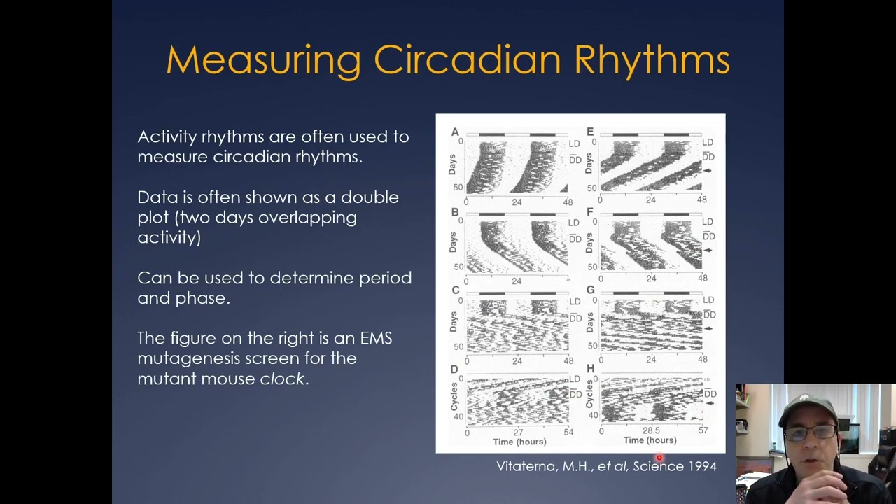 Molecular Cell Biology Lecture 24, Part A