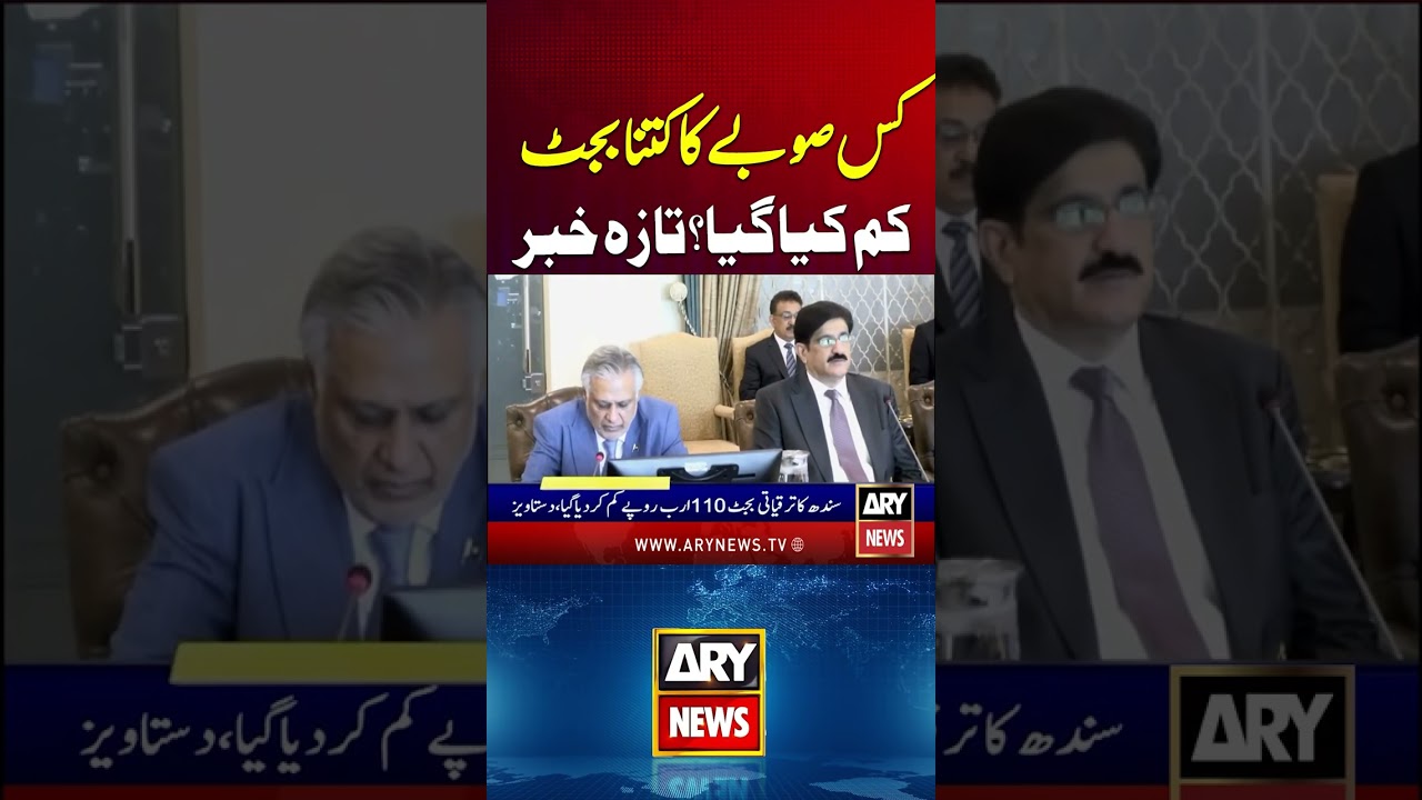 Budget Cuts in Pakistan Provinces #budget2026 #pakistannews #breakingnews