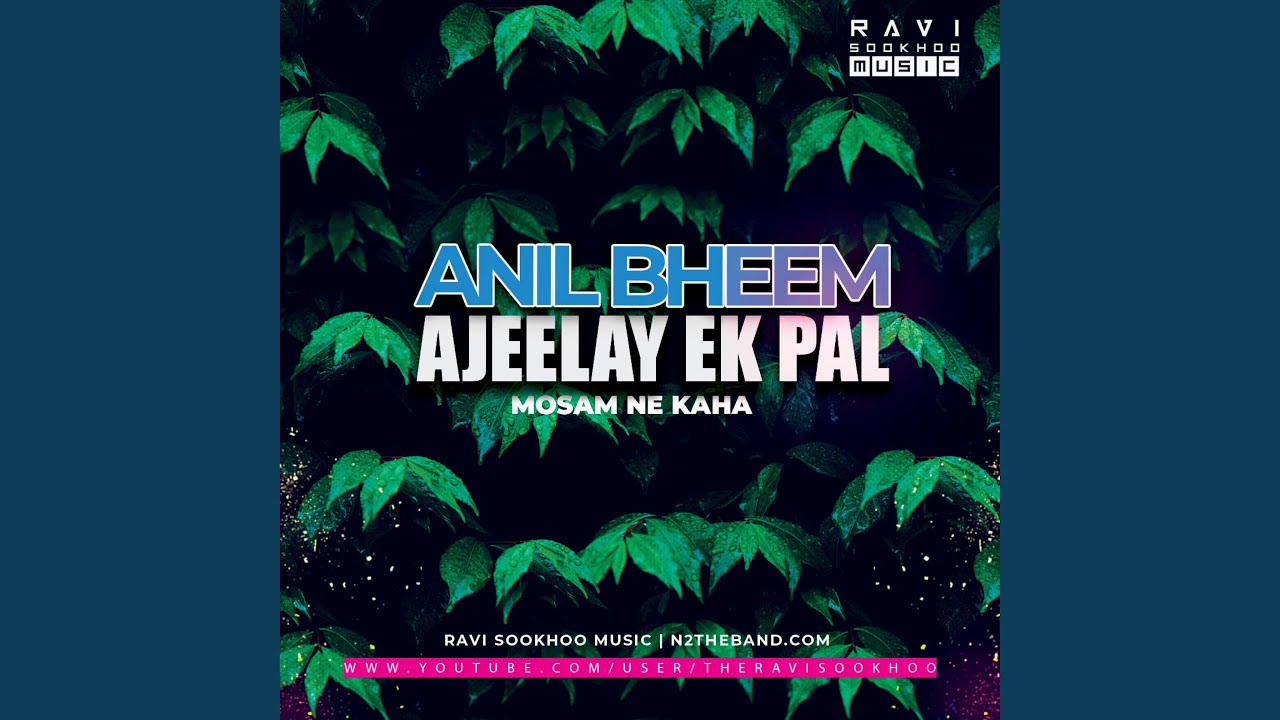 Ajeelay Ek Pal (feat. Anil Bheem)