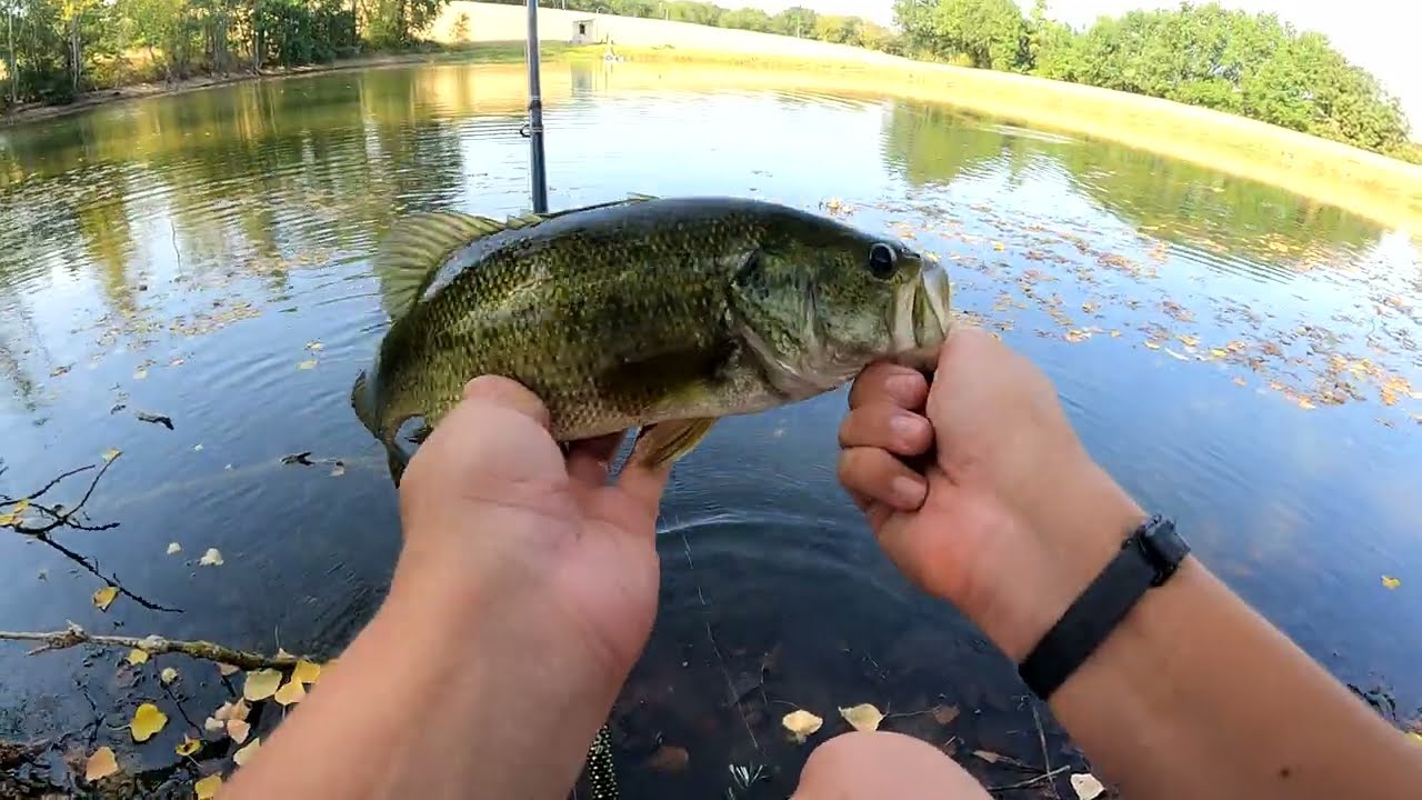 Pêche du black bass en lac privée !!