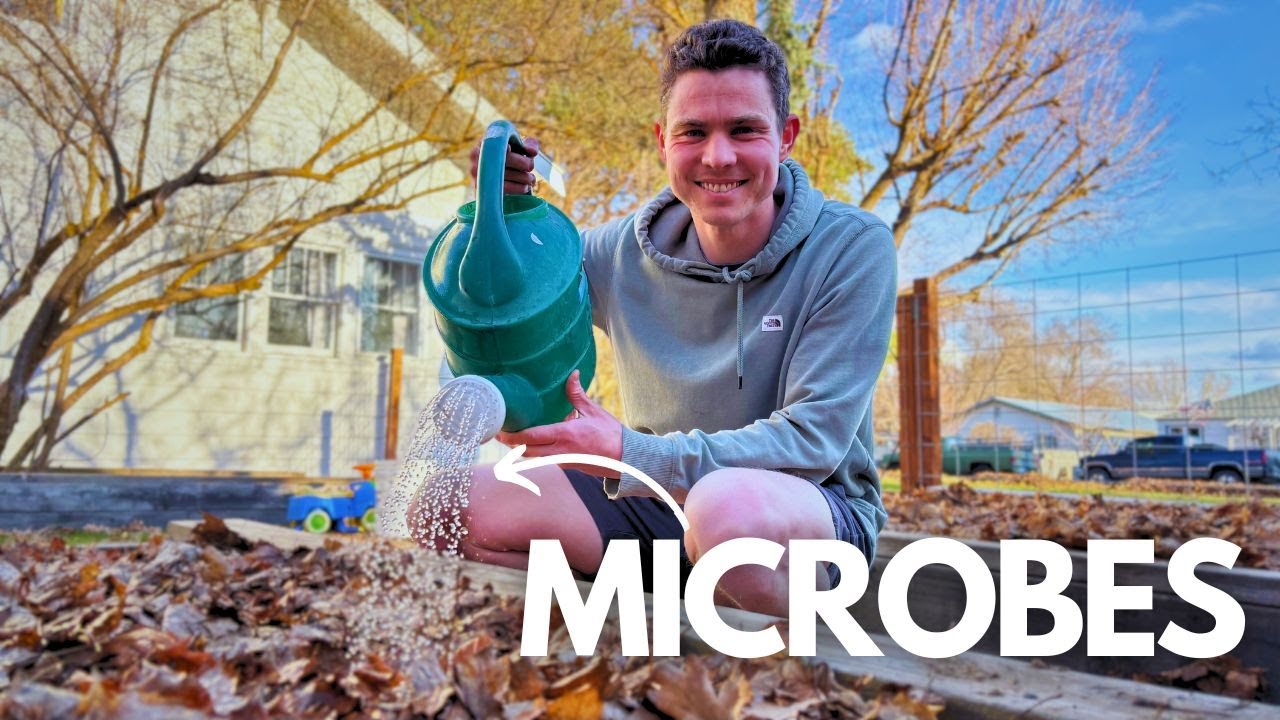 The Easiest Way to Prepare Your Soil For Transplants