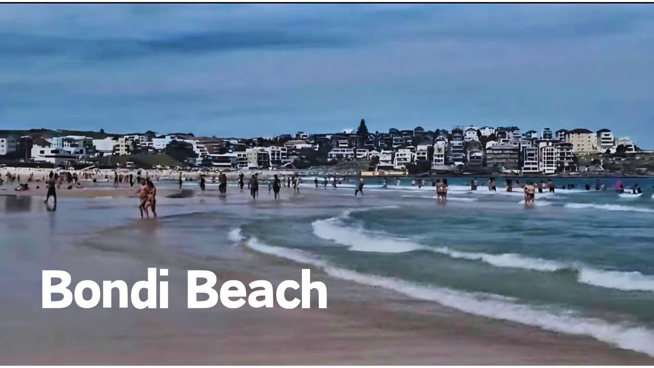 Bondi Beach, Sydney 🇦🇺｜海浪，海鸥与夏日沙滩 🌊