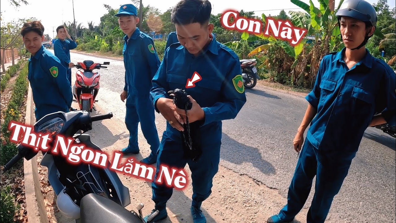Tuấn Nhỏ || Lần Đầu Dẫn Ný Đi Săn Cò Đụng Phải Mấy Anh Dân Quân Cùng Chung Đam Mê....