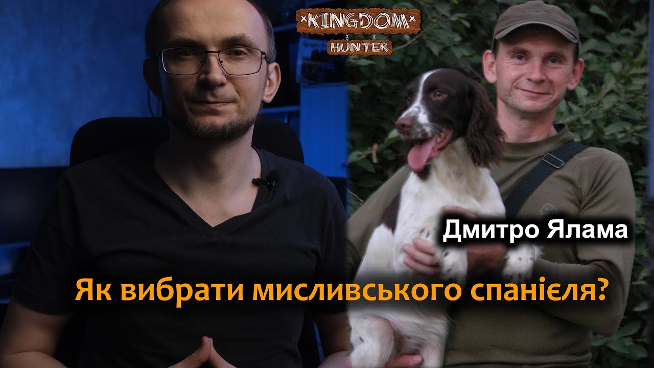 Як вибрати мисливського спанієля? В гостях: Дмитро Ялама