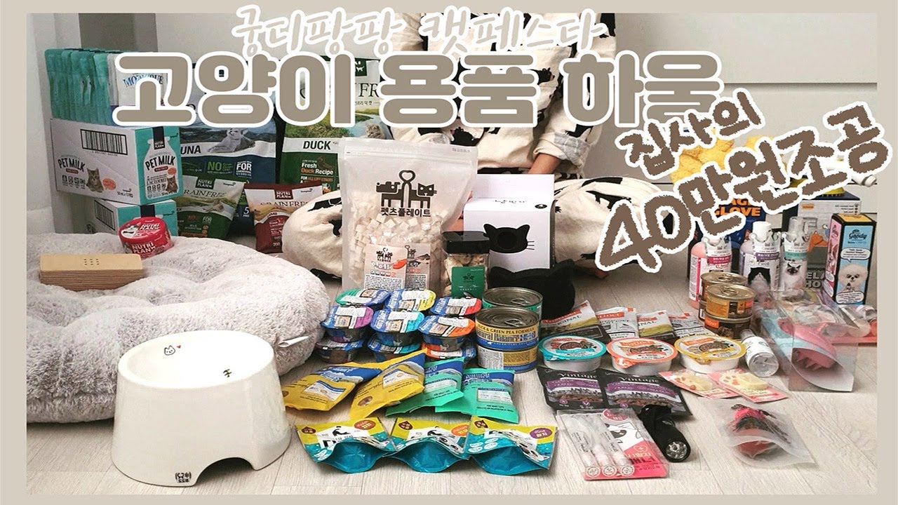 [비비캣] 고양이 용품 40만원 하울! (궁디팡팡 캣페스타 10회)