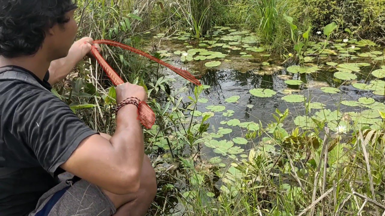 BIKIN NGILER!! PEMANCING PALING BERUNTUNG YANG BISA DAPAT SPOT SEPERTI INI..