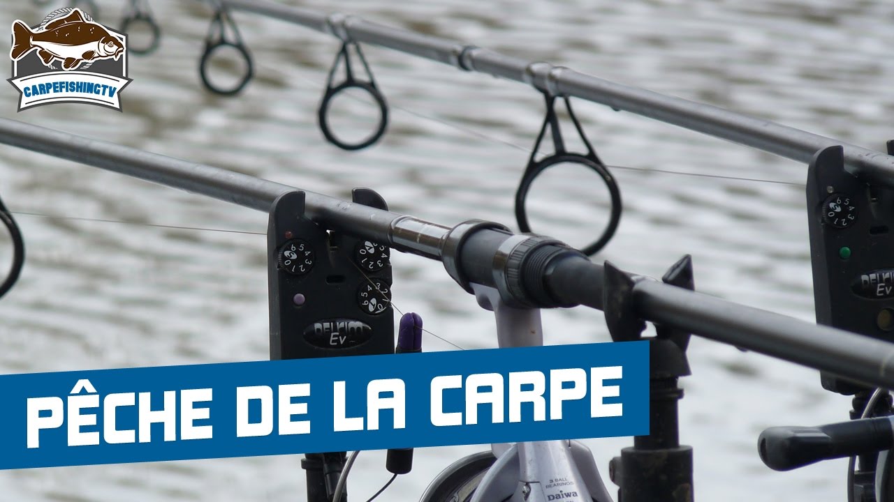Compilation Départs Carpes 
