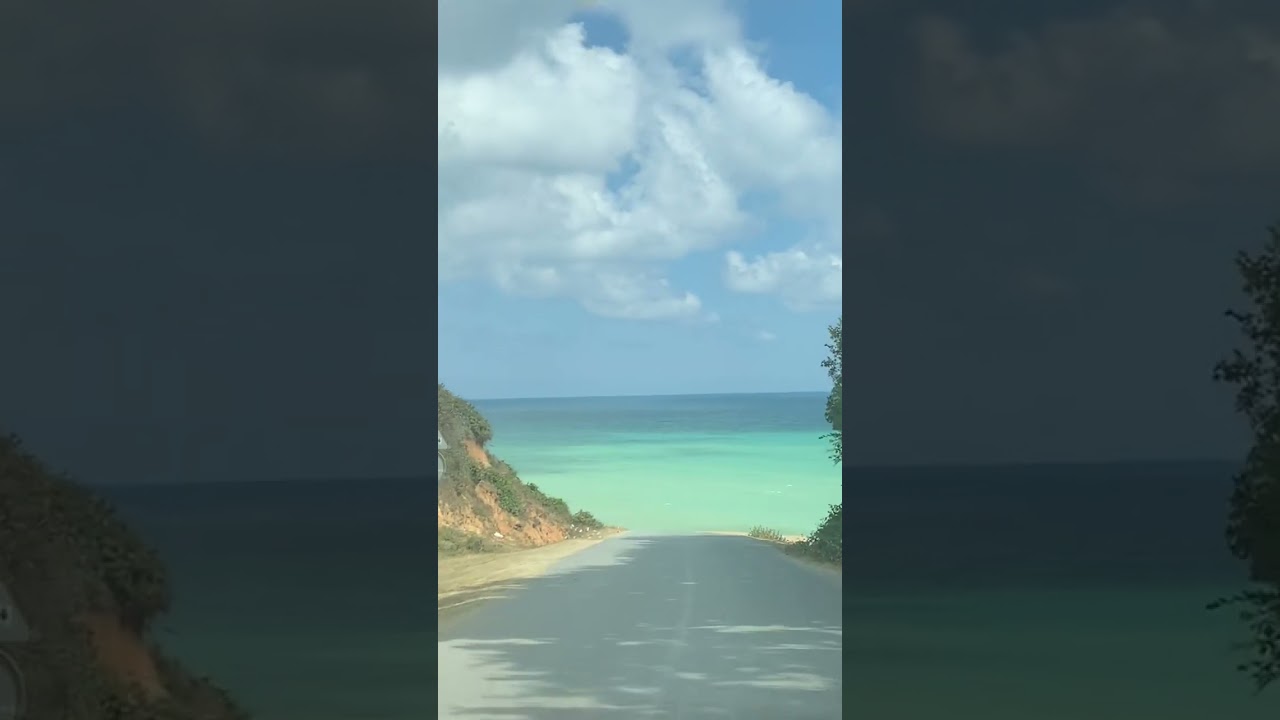 &Ccedil;atalca ormanlı sahili