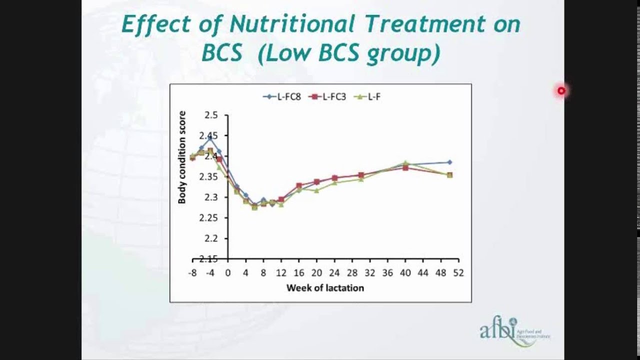Transition Cow: The importance of BCS & concentrate feeding - brought to you by AHDB Dairy