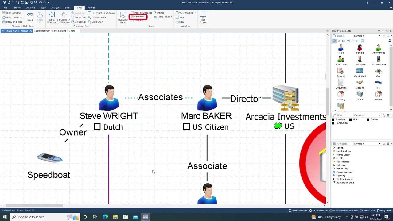 11 - Analyst's Notebook - Getting Started - The View toolbar