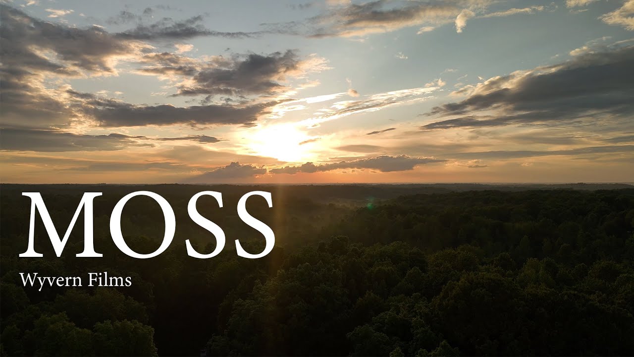 Moss- an enlightening documentary