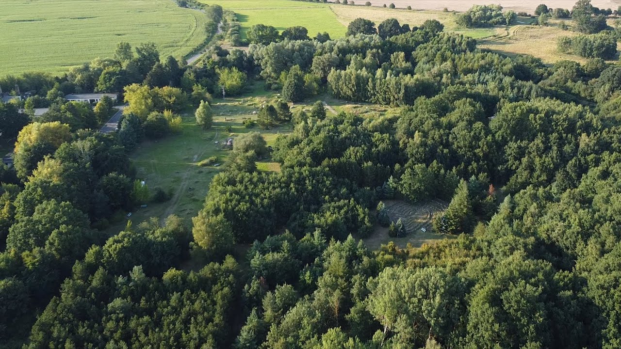 Der Findlingsgarten Schwichtenberg bei Galenbeck (Mecklenburg-Vorpommern)