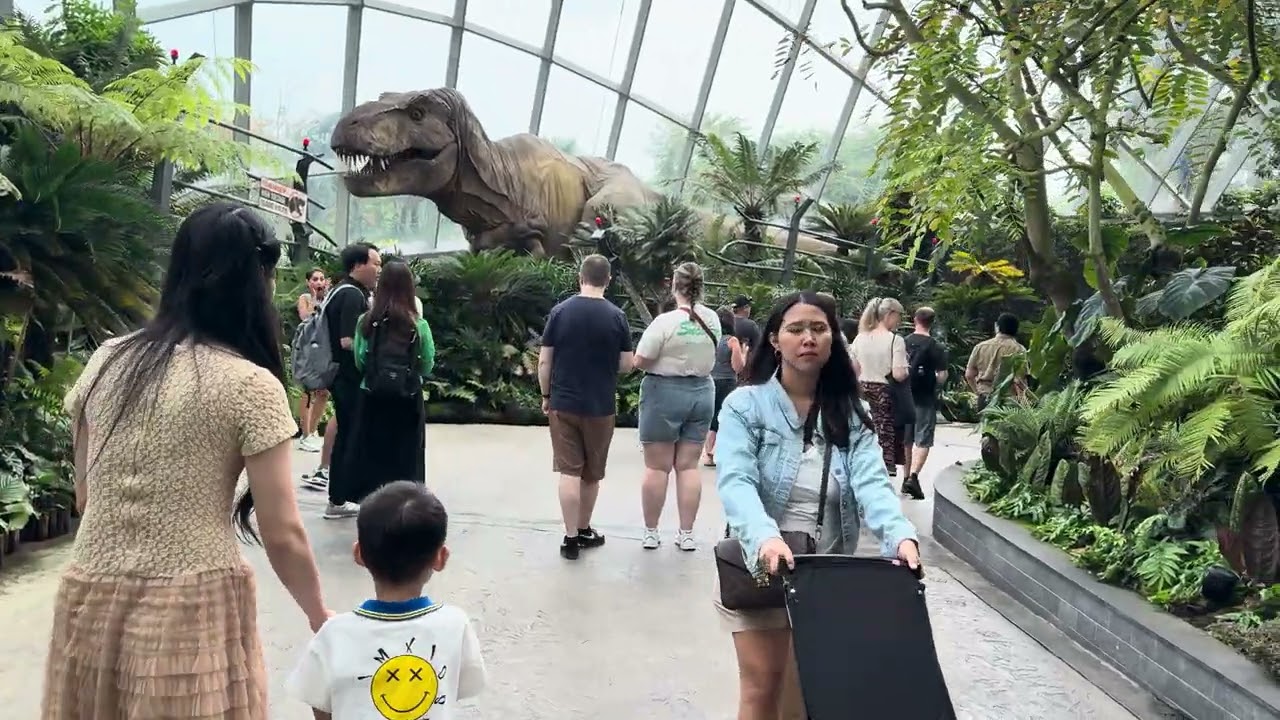 Look!There is a dinosaur 🦖 in the ground 😊