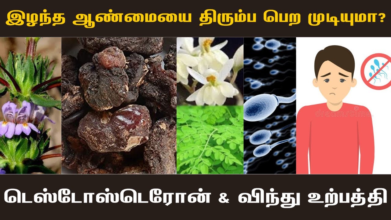 இழந்த ஆண்மையை திரும்ப பெற முடியுமா? | ஆண்மையியக்குநீர் | விறைப்புத்தன்மை குறைபாடு | நீடித்த ஆண்மை