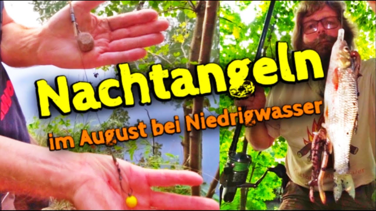 Nachtangeln im August | Auf Wels, Zander, Aal und Karpfen
