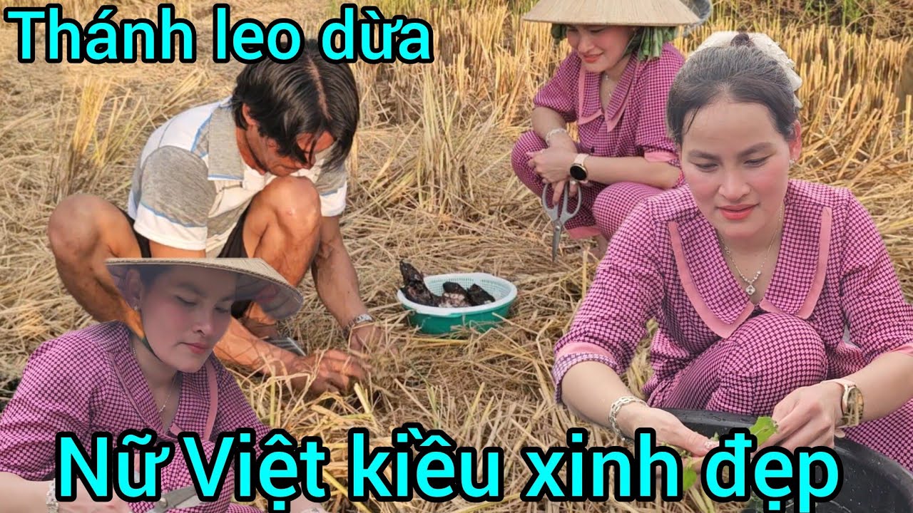 Xuất hiện nữ Việt Kiều Campuchia về tiền thắng vừa được khánh hay vừa đẩy cá lóc nướng rơm