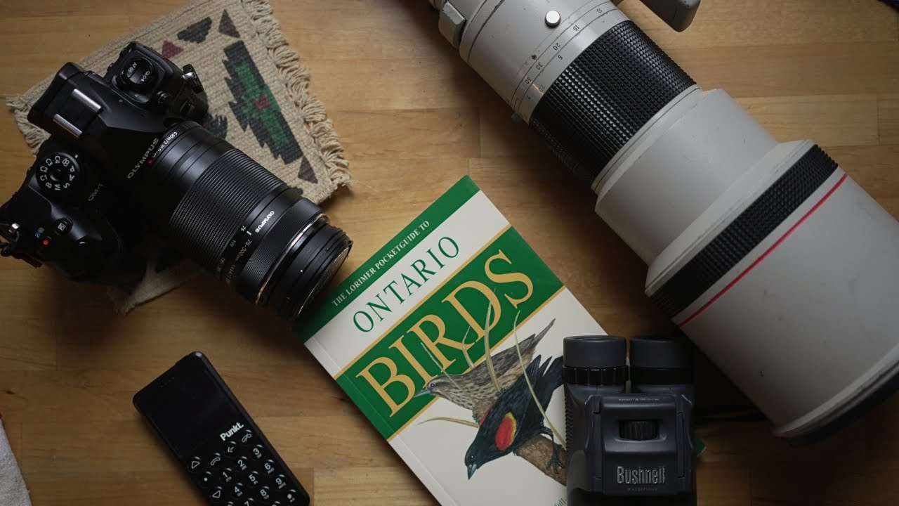 Cultivating an offline hobby.