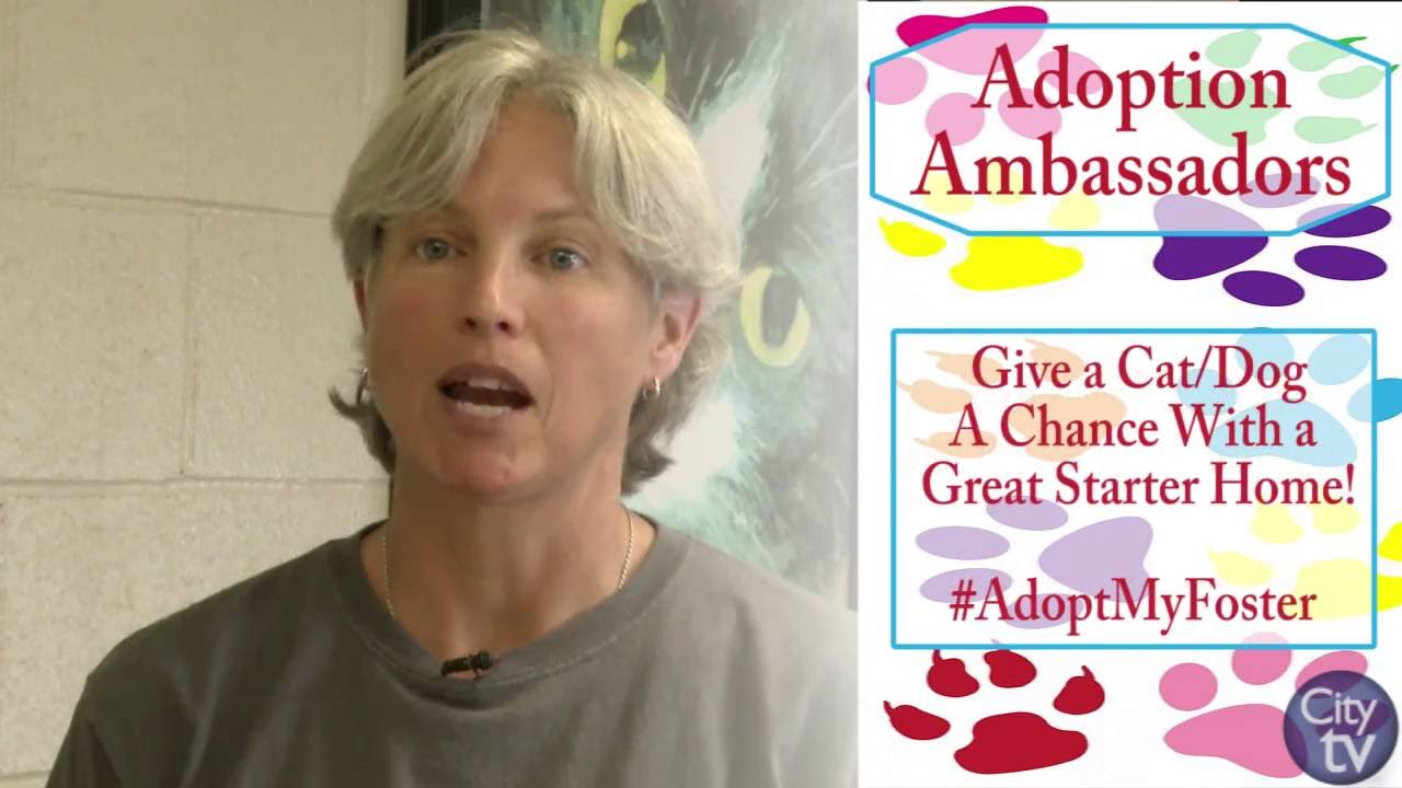 Columbia Close-Up: Adoption Ambassadors