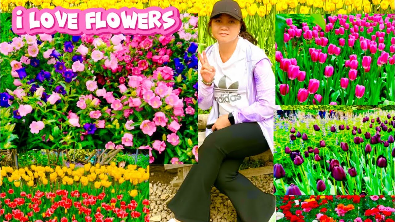 FLOWERS VIEWING || TEMPERATURE PLANTS AREA HIGHLAND EXPERIMENTAL FARM || TRAVEL ADVENTURE