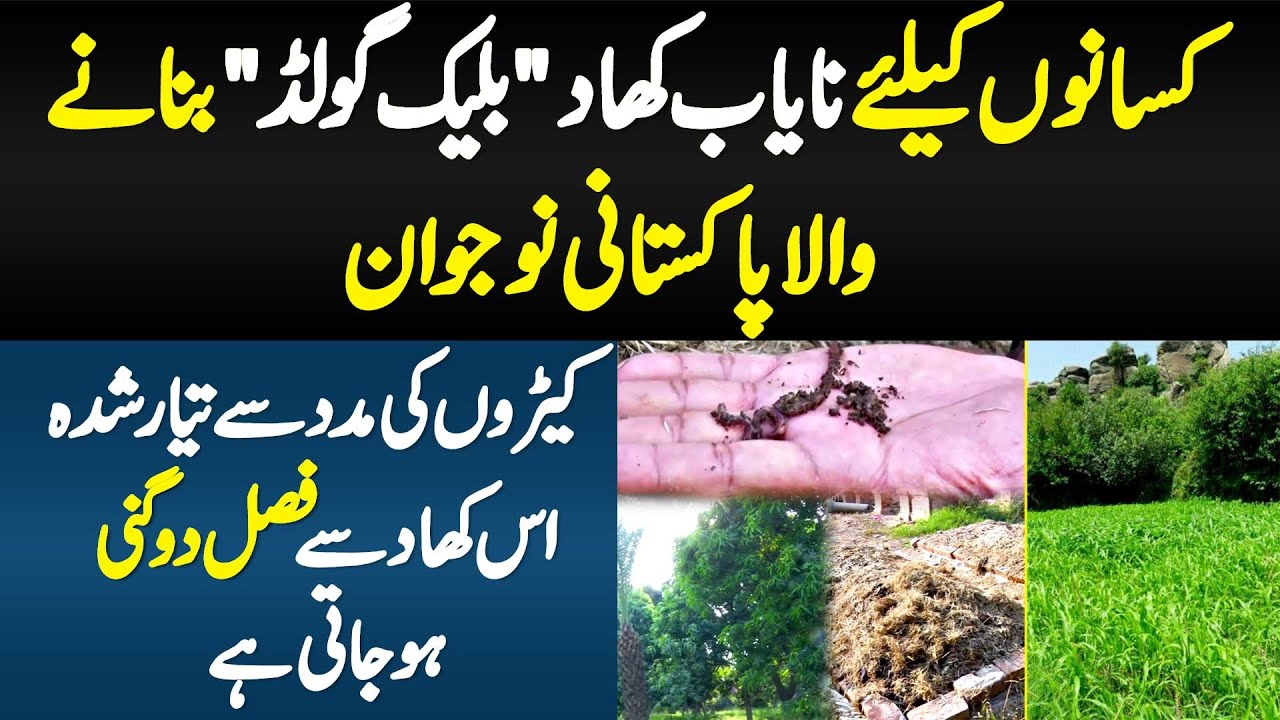 Kissanon Ke Liye Nayab Khad Block Gold Banane Wala Pakistani Naujawan